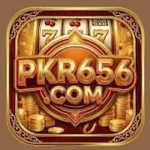 PKR656 Game